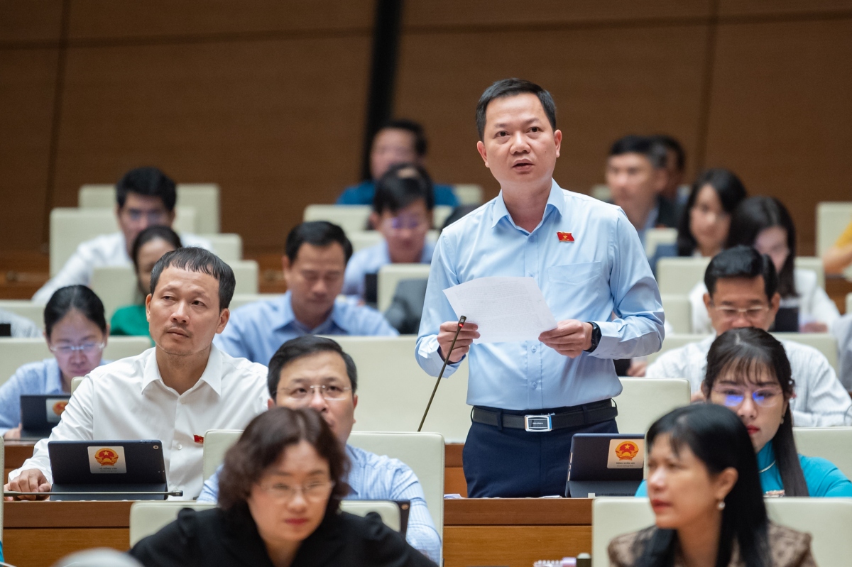 Quốc hội tranh luận xung quanh phim “Đất rừng phương Nam”, "lạm phát hoa hậu"